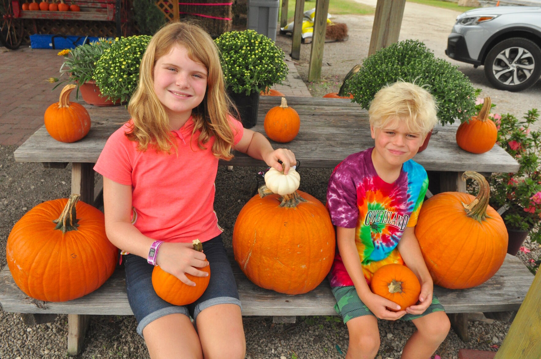 With safety precautions in place, Garner Corn Maze & Pumpkin Patch opens
